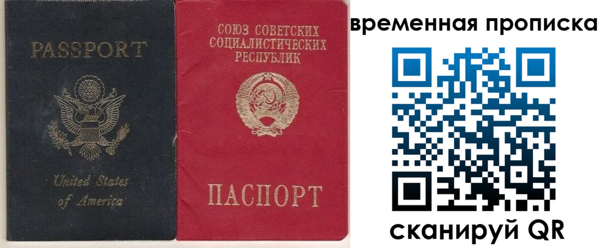 прописка для школы в Гагарине